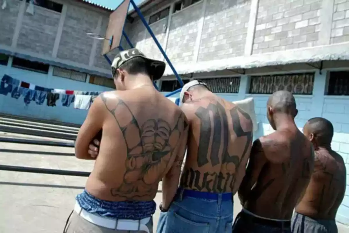 Four people with tattoos on their backs are standing in an outdoor patio with clothes hanging in the background.