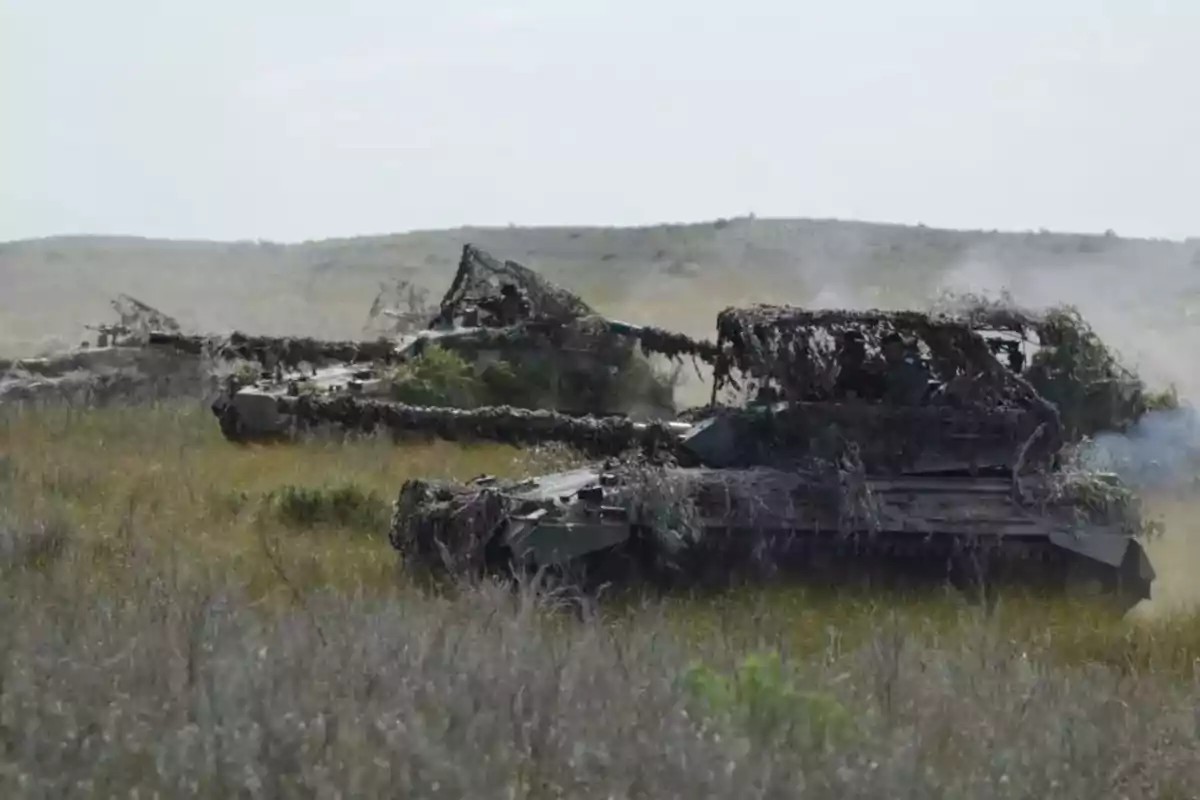 Tanques camuflados en un campo abierto con vegetación seca.