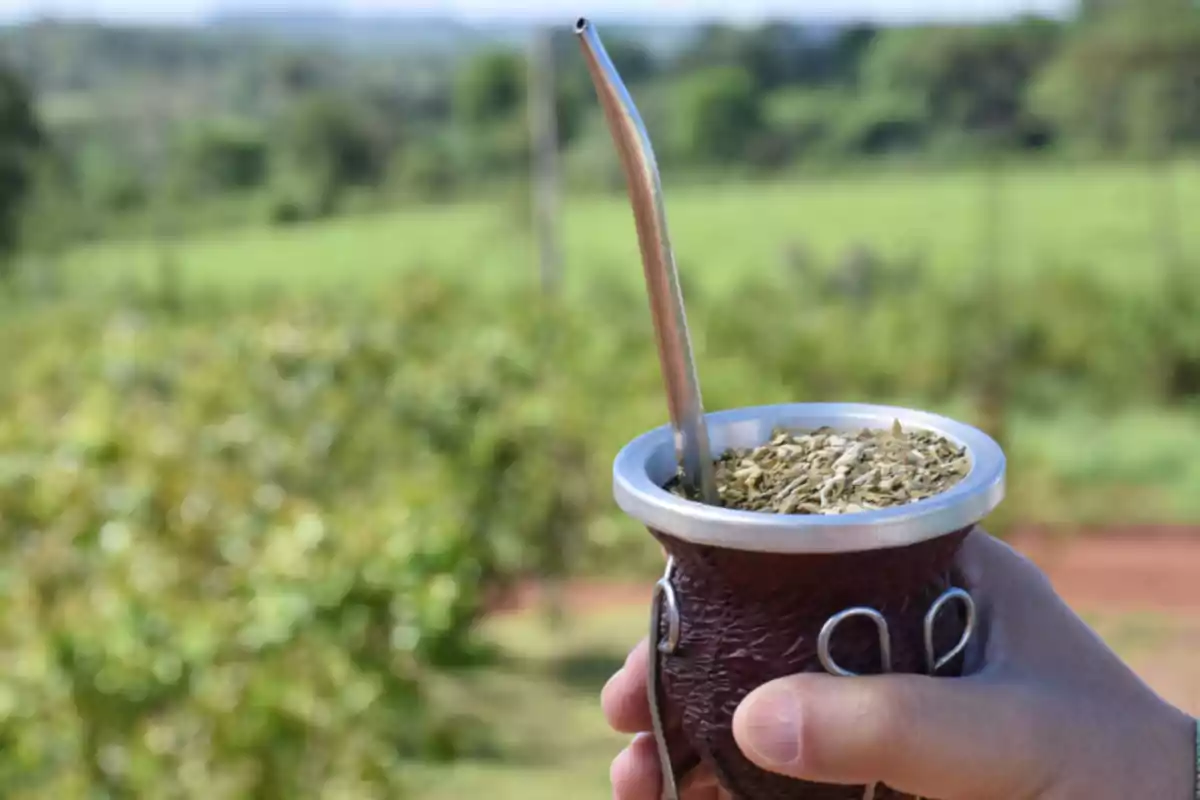 Una mano sosteniendo un mate con bombilla en un entorno natural.