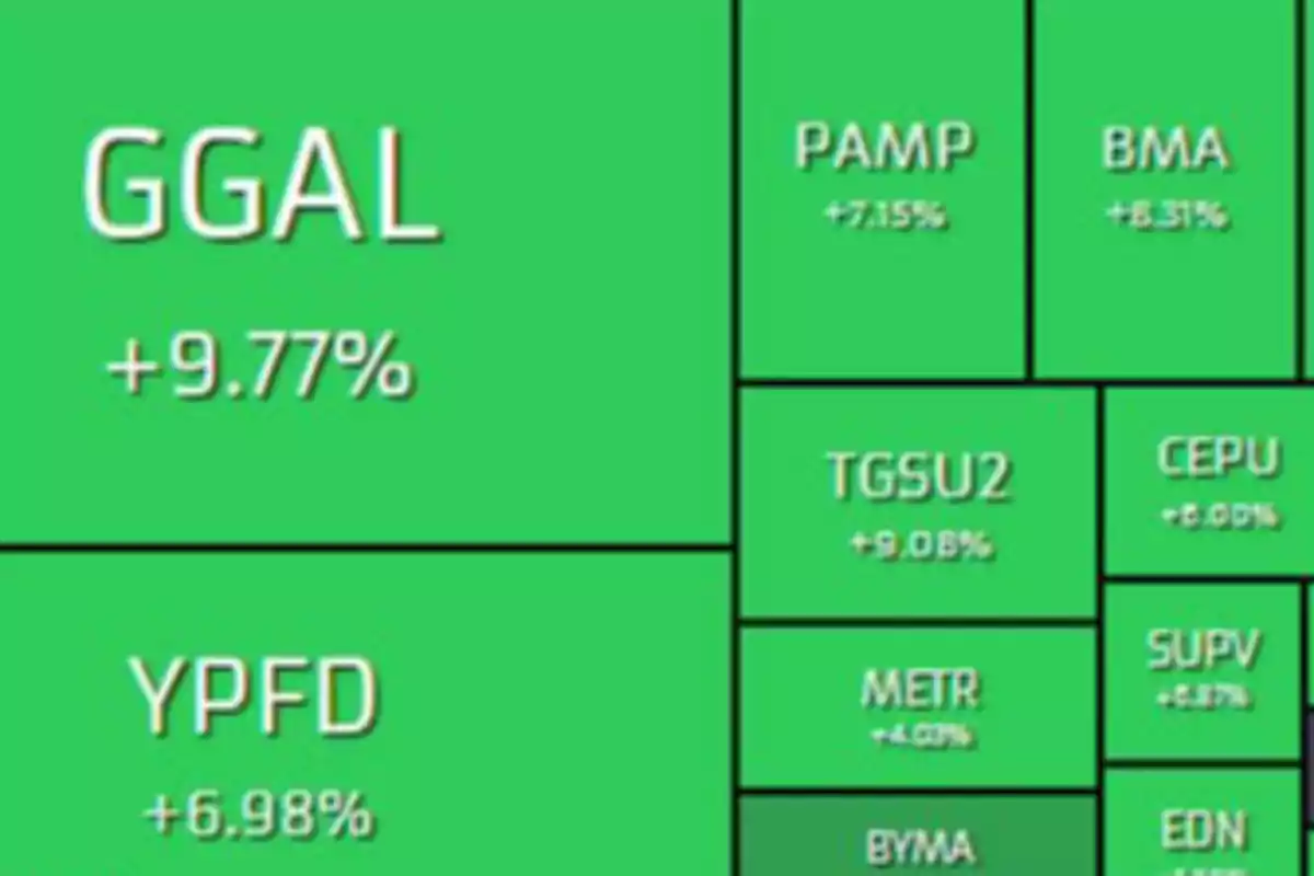 Tree chart showing the percentage performance of different stocks, highlighting GGAL with an increase of 9.77% and YPFD with 6.98%.