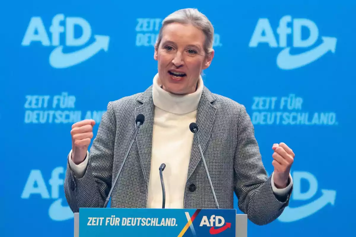 Una persona hablando en un podio con un fondo azul que tiene el logo de AfD y el texto 