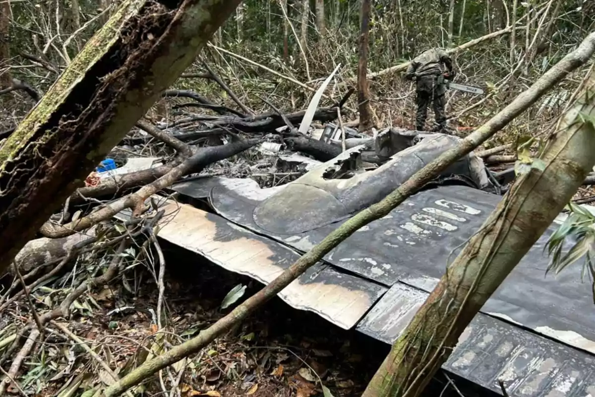 A crashed plane in the middle of a forest with a man using a chainsaw near the wreckage.