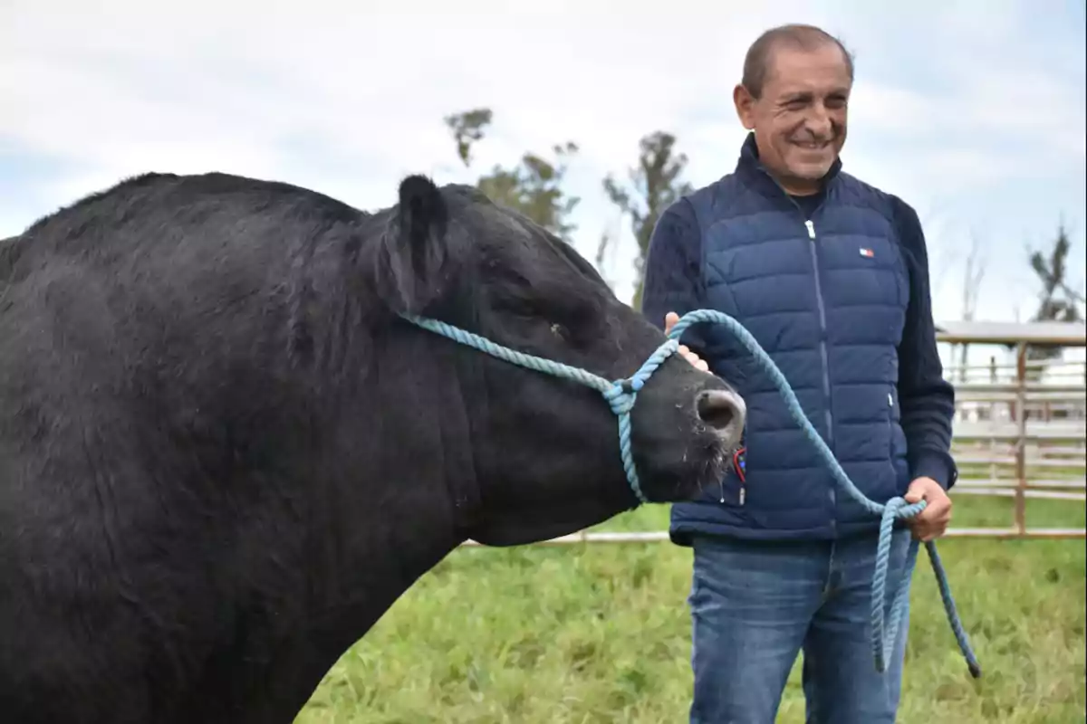 Un hombre sonriente sostiene a un toro negro con una cuerda azul en un campo.