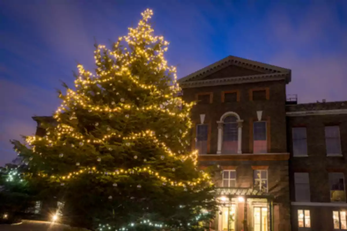 Árbol de Navidad iluminado frente a un edificio histórico al anochecer.