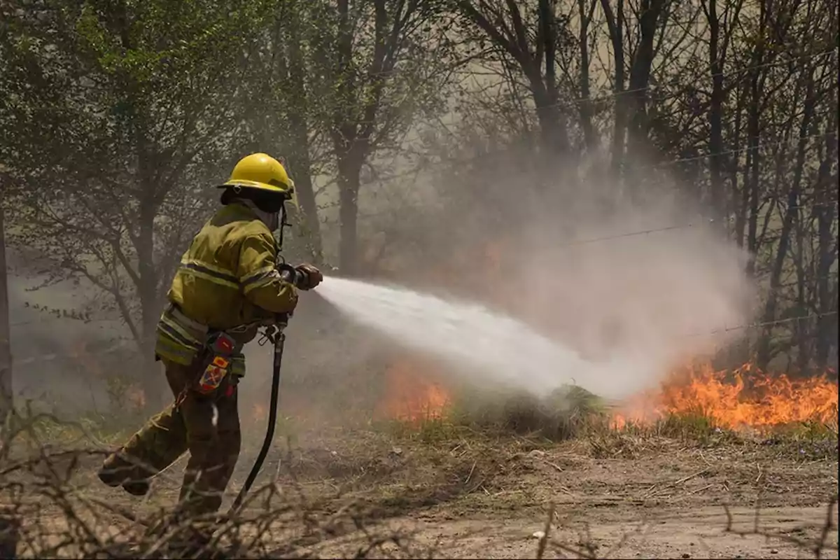 Un bombero con equipo de protección apaga un incendio forestal con una manguera de agua en un área arbolada.