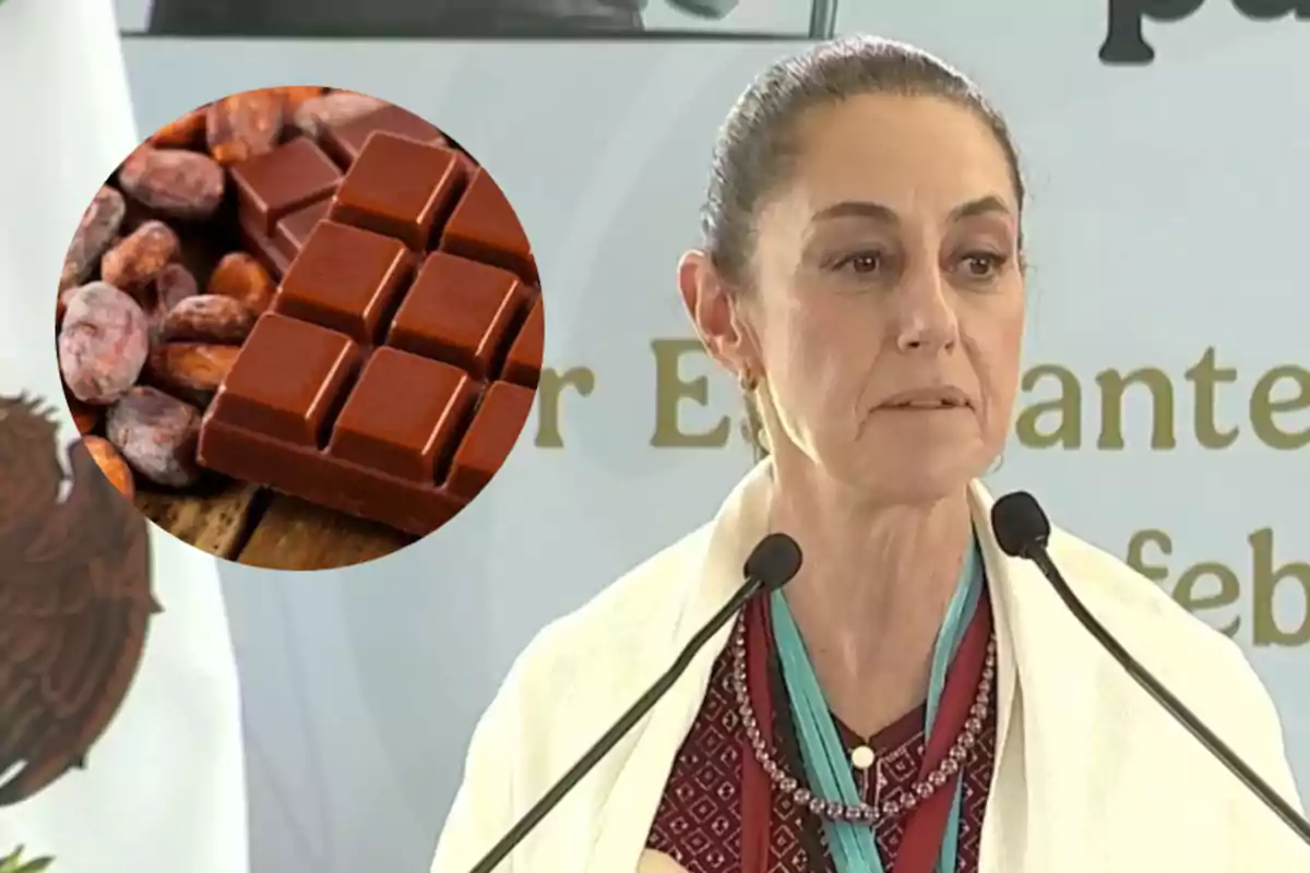 A person speaking at a podium with a microphone, next to a circular image of chocolate and cocoa beans.