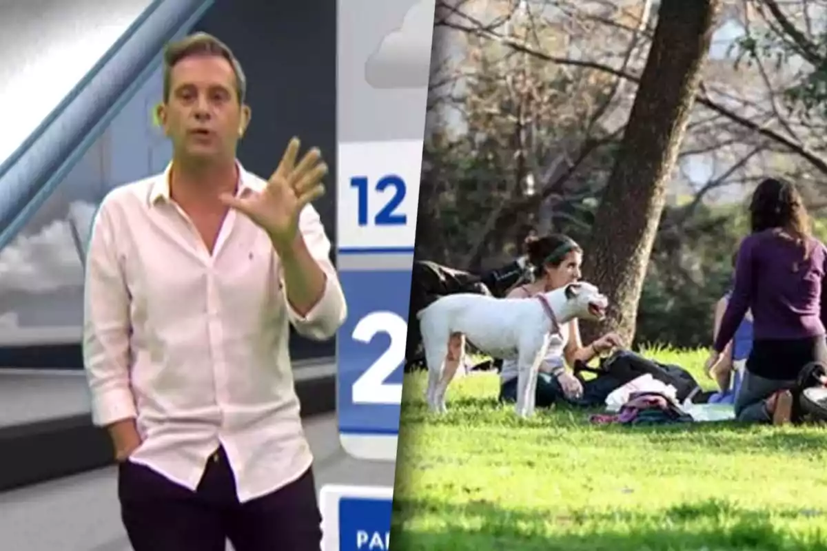 Matías Bertolotti dando el pronóstico del clima para el AMBA el día 21 de enero, en un estudio de televisión junto a una imagen de personas disfrutando en un parque con un perro.