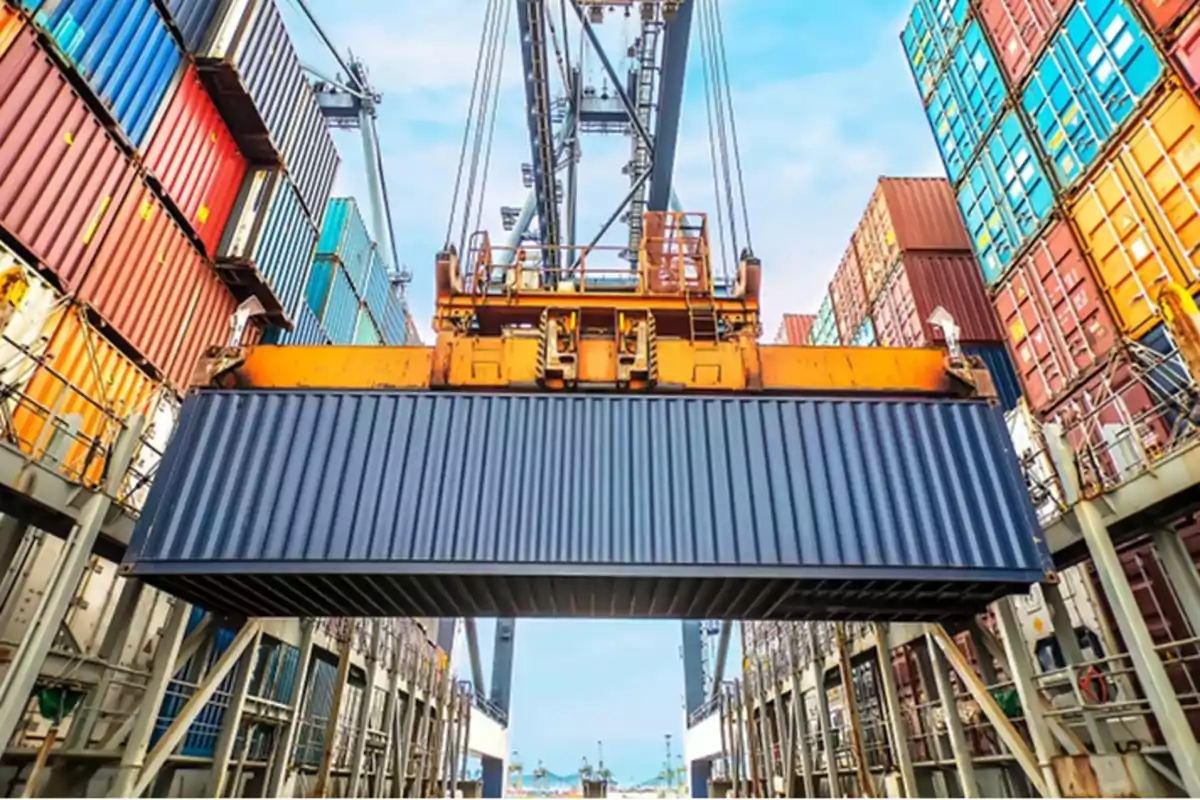 Una grúa portuaria levantando un contenedor de carga en un muelle lleno de contenedores apilados.