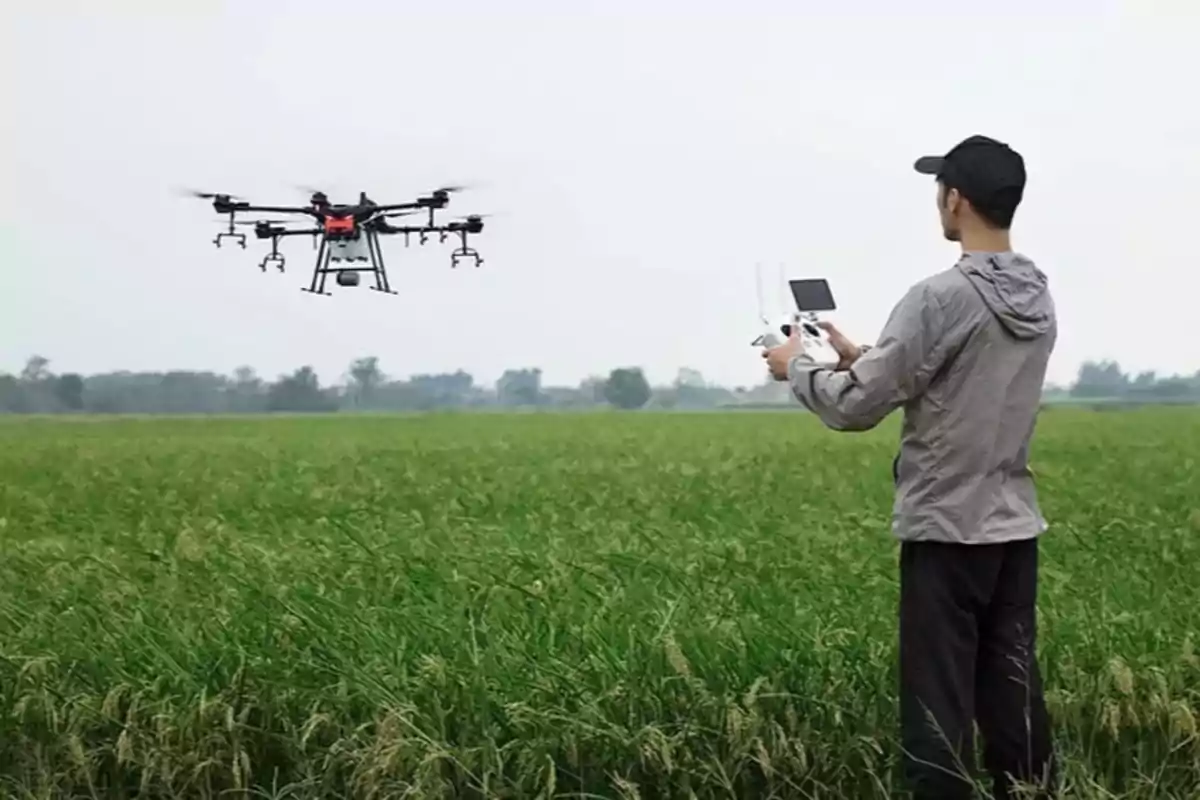 Persona operando un dron sobre un campo verde.