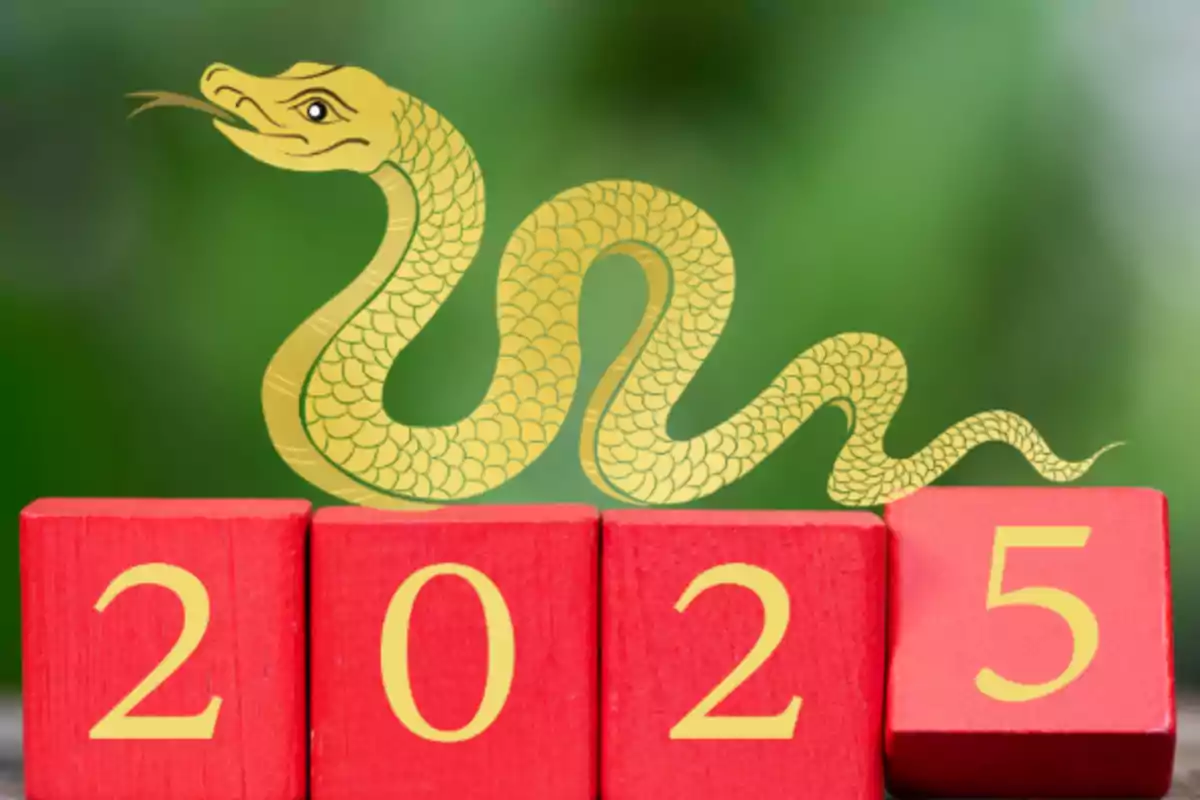 Un dibujo de una serpiente dorada sobre bloques rojos con el número 2025.