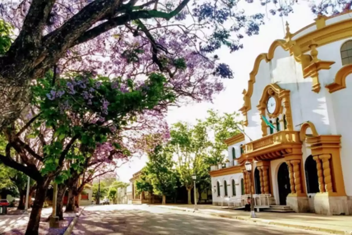 Una calle arbolada con flores moradas y un edificio histórico con reloj en la fachada.