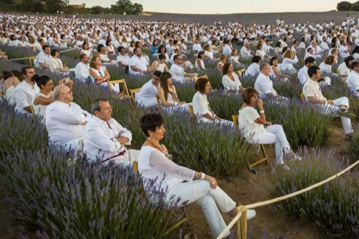 Personas vestidas de blanco sentadas en un campo de lavanda durante un evento al aire libre.