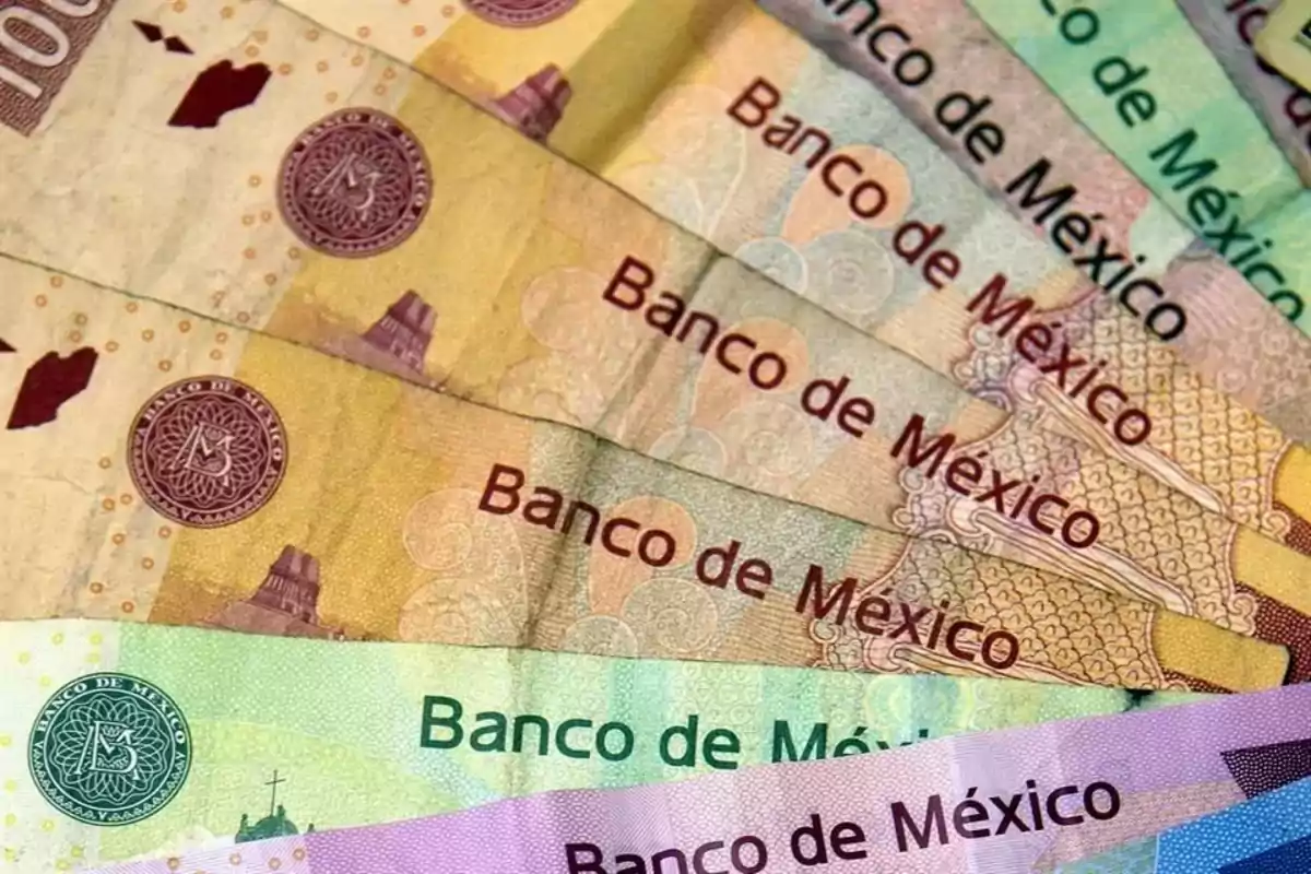 Billetes de diferentes denominaciones del Banco de México en abanico.