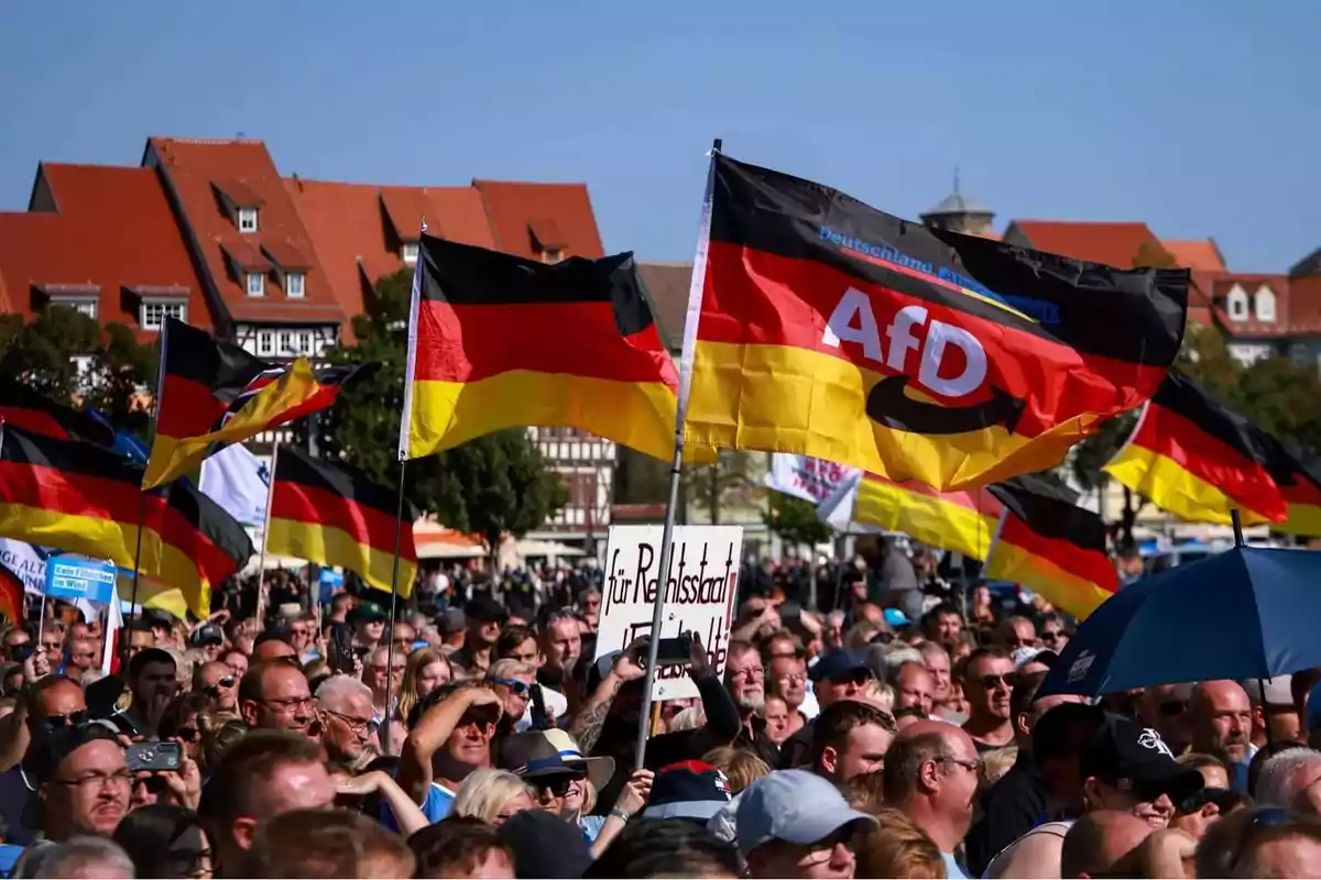 Una multitud de personas en una manifestación sosteniendo banderas de Alemania y pancartas del partido político AfD.