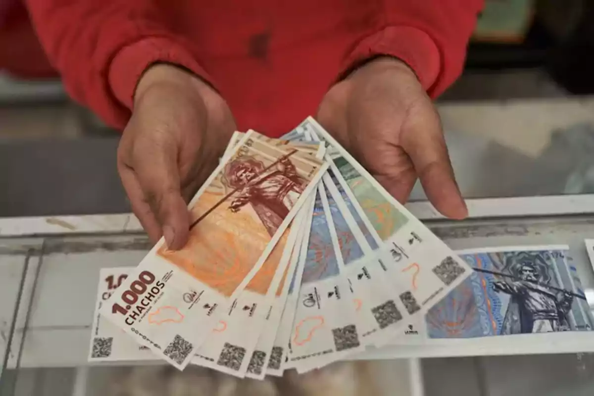 Una persona sostiene varios billetes de diferentes colores y denominaciones en sus manos.