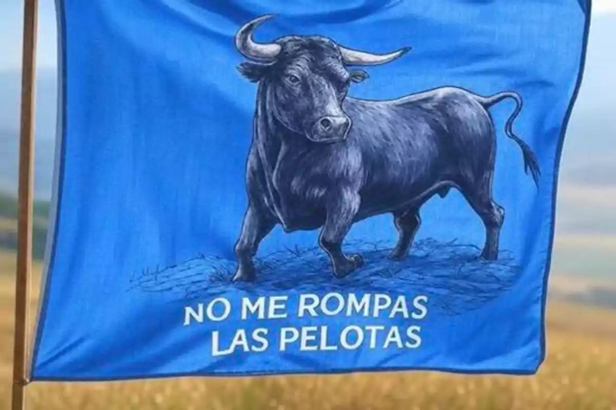 Una bandera azul con la imagen de un toro y la frase "No me rompas las pelotas".