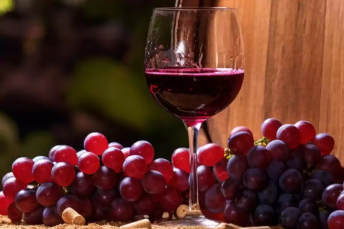 Una copa de vino tinto junto a racimos de uvas sobre una superficie de madera.