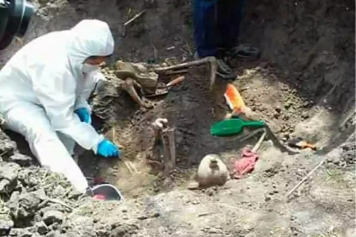 Una persona con traje protector y guantes azules examina un esqueleto parcialmente desenterrado en un sitio de excavación.