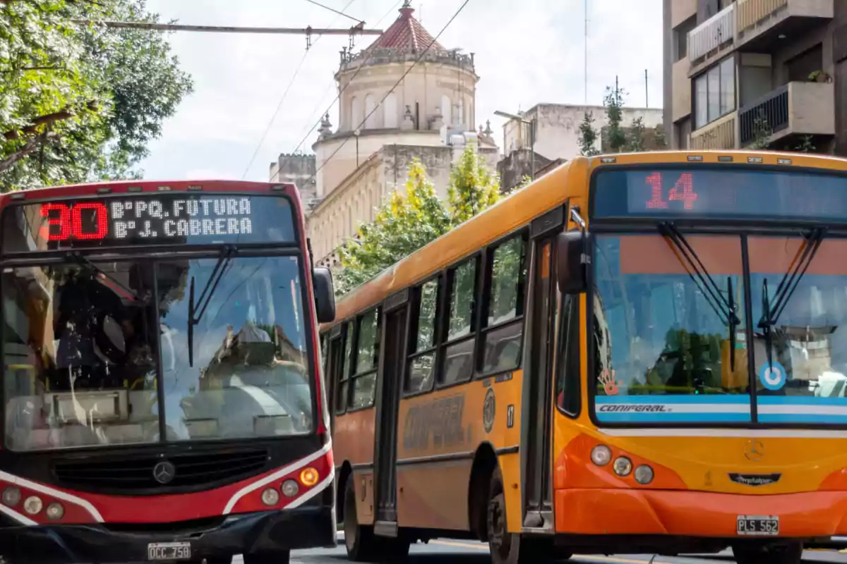 Dos autobuses urbanos circulan por una calle rodeada de edificios y árboles.