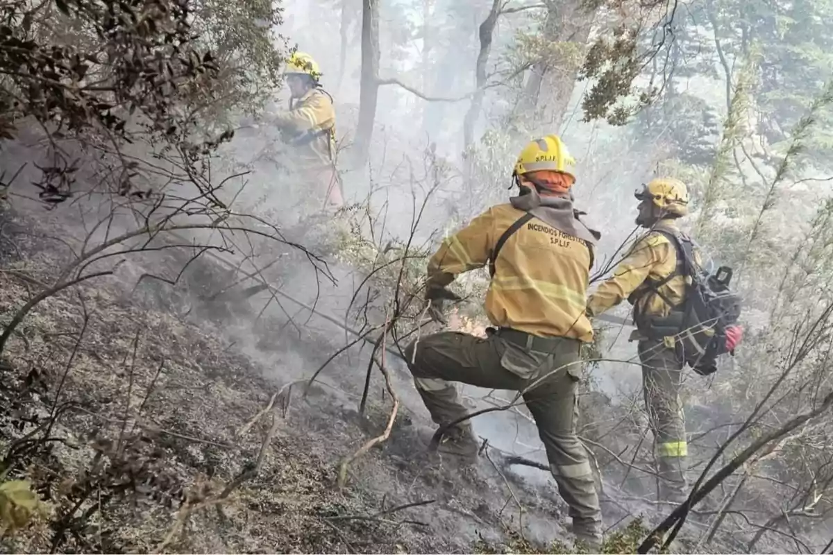 noticiaspuertosantacruz.com.ar - Imagen extraida de: https://laderechadiario.com/politica/gobierno-javier-milei-despliega-enorme-operativo-para-combatir-los-incendios