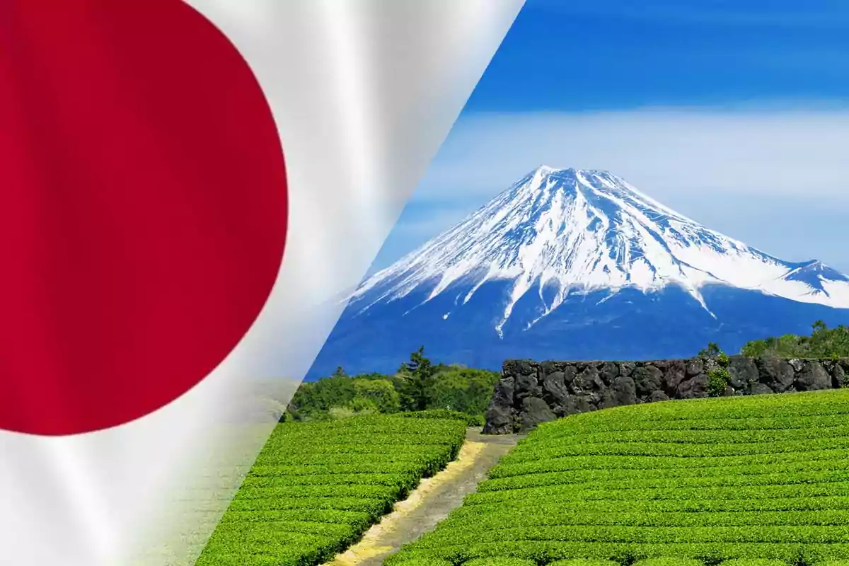 Bandera de Japón junto al Monte Fuji y campos de té verde.