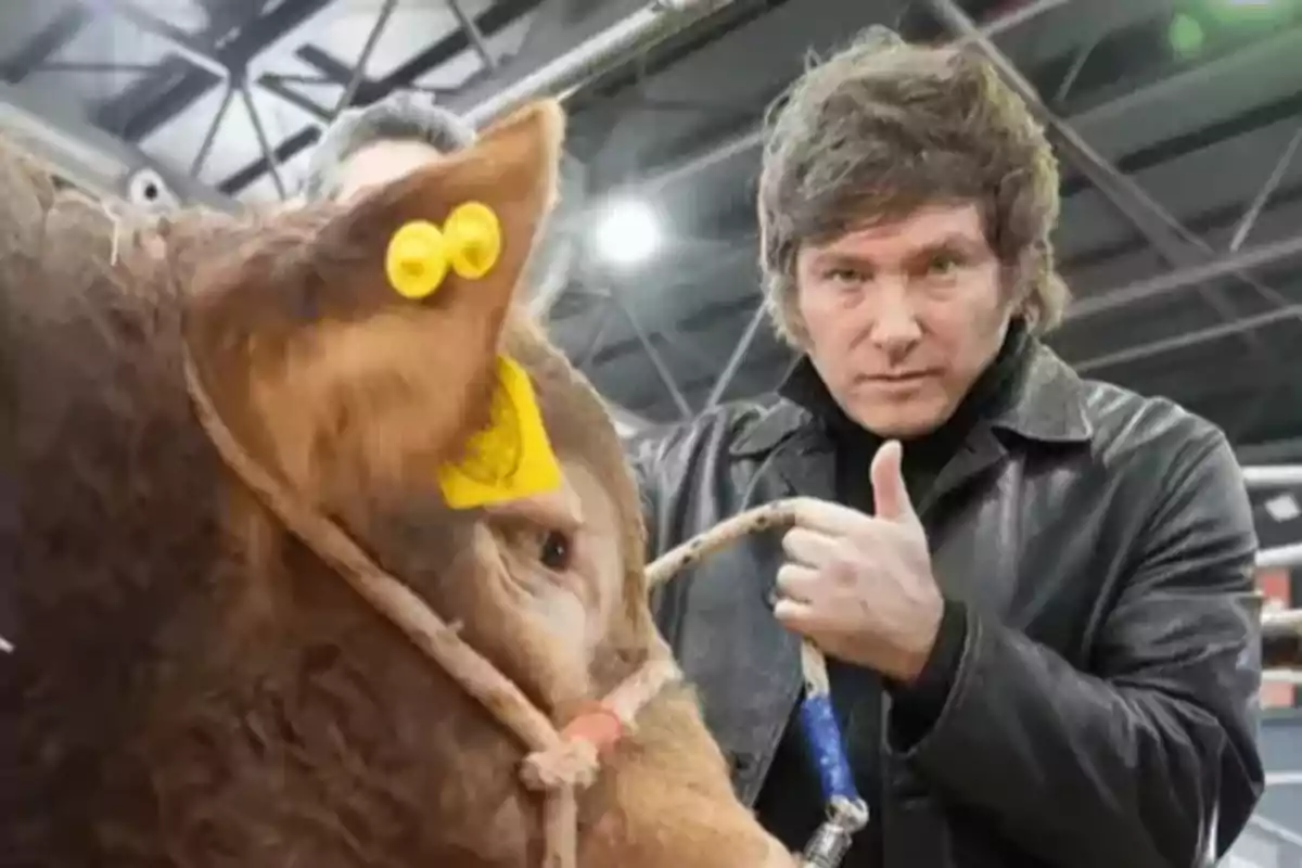 A man in a leather jacket gives a thumbs-up next to a cow in an indoor enclosure.