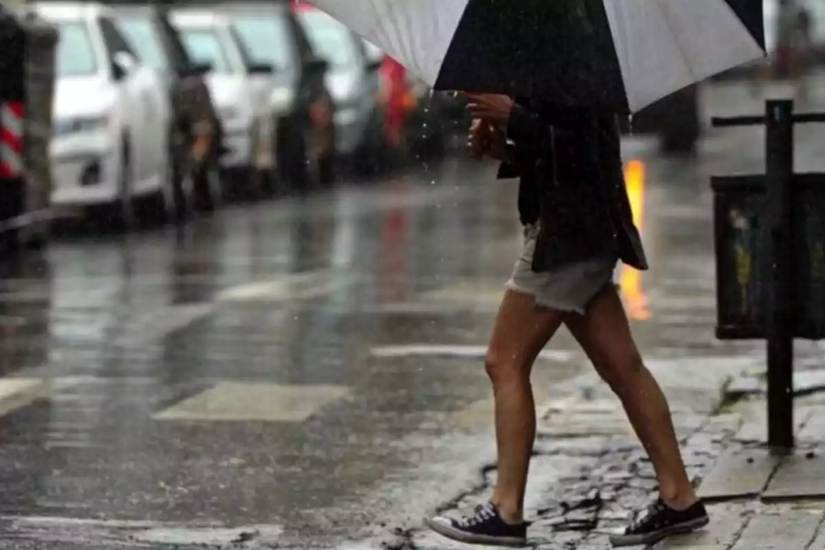 Persona caminando bajo la lluvia con un paraguas en una calle mojada.