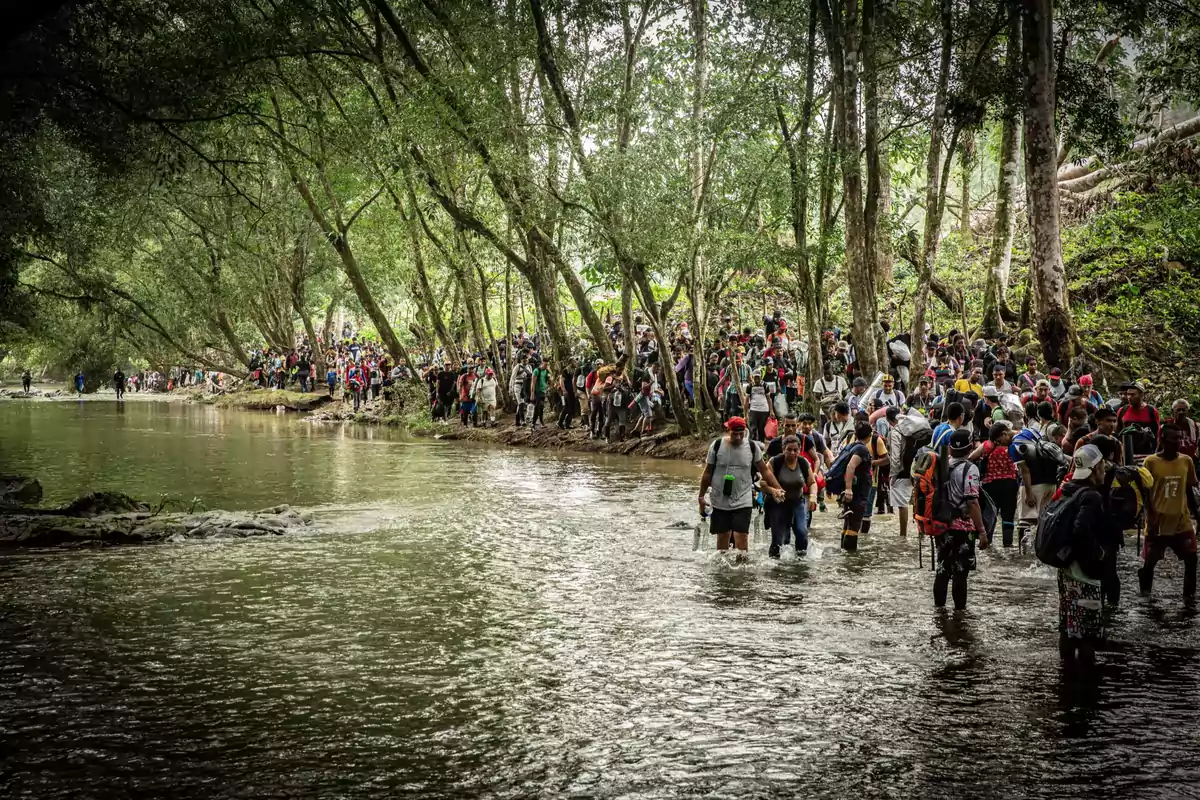 A large group of people crosses a shallow river surrounded by trees in a natural setting.