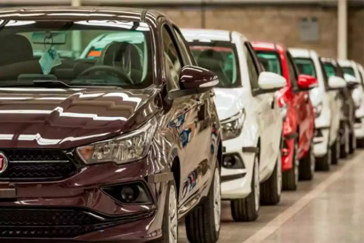 Una fila de autos nuevos de diferentes colores estacionados en un concesionario.