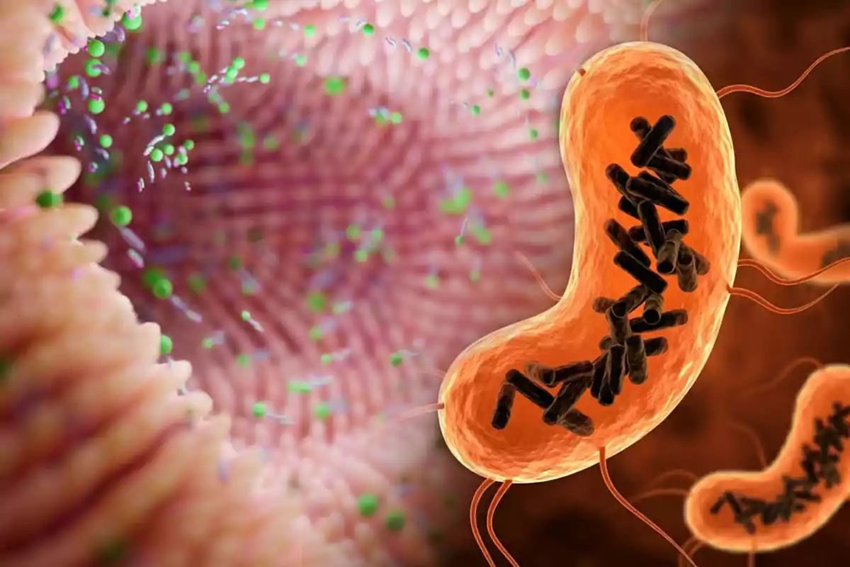 Ilustración de bacterias en el intestino humano mostrando microorganismos en un entorno microscópico, representando los "Obeliscos", nuevos tipos de vida hallados en el cuerpo humano.