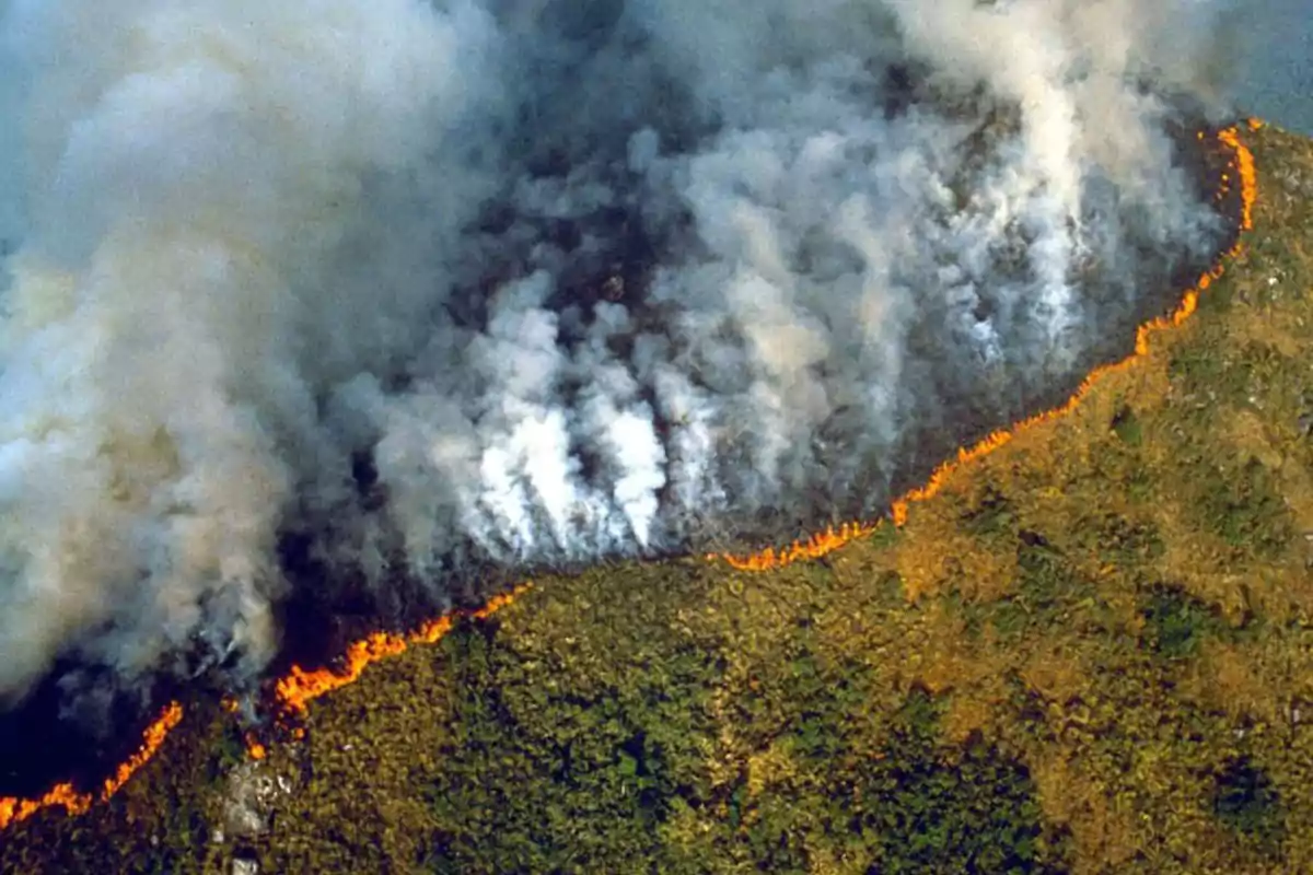 Incendio forestal en una zona boscosa visto desde el aire con una línea de fuego y humo denso.