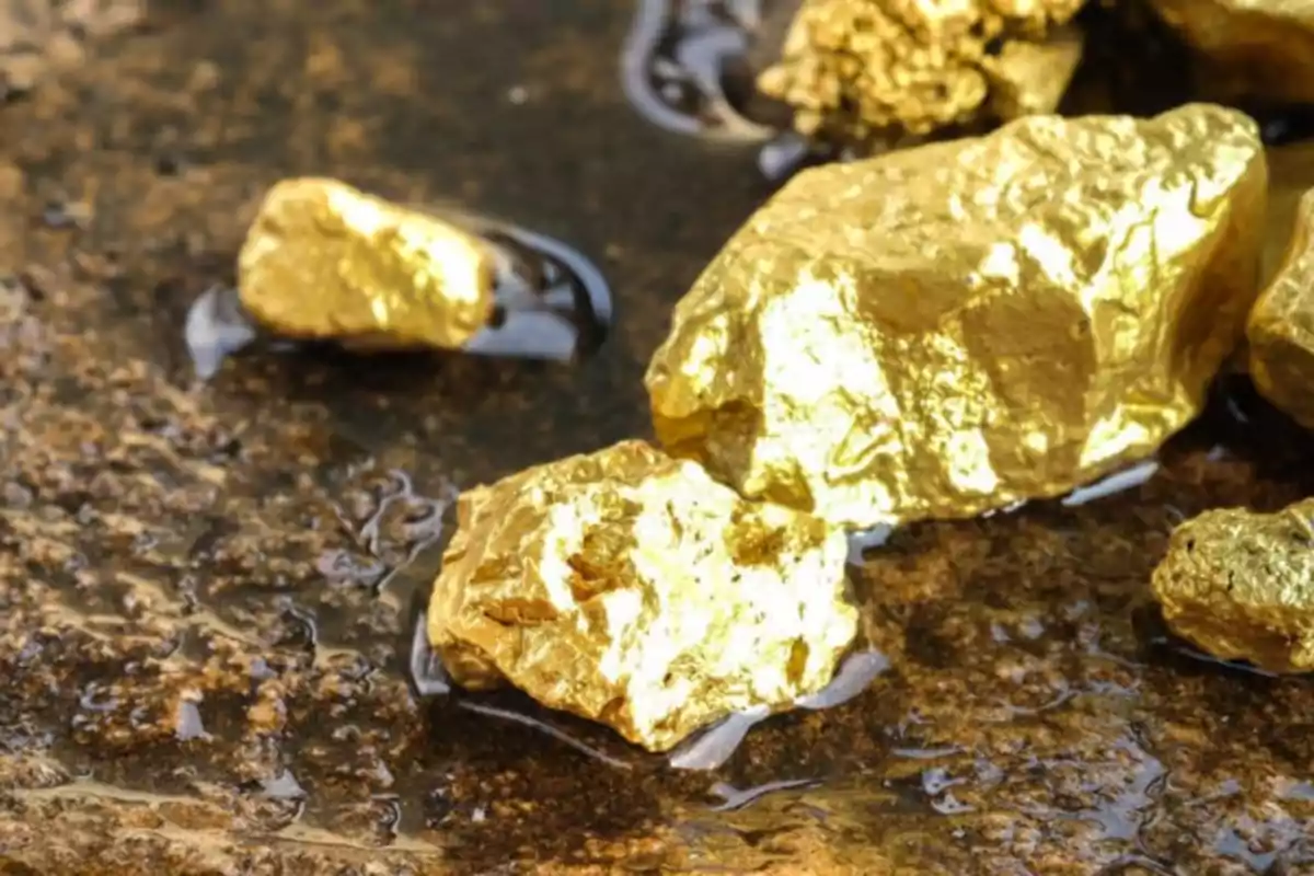 Pepitas de oro encontradas en China sobre una superficie húmeda.