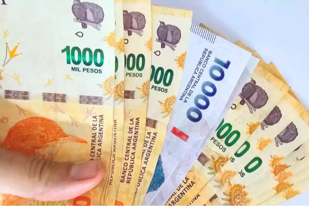 Un manojo de billetes de 1000 y 10000 pesos argentinos.