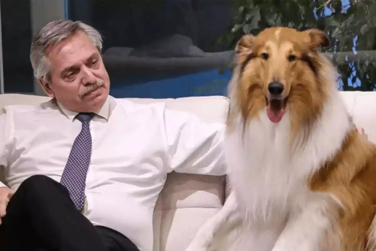 Un hombre de cabello canoso y bigote, vestido con camisa blanca y corbata, está sentado en un sofá junto a un perro de raza Collie de pelaje largo y marrón.