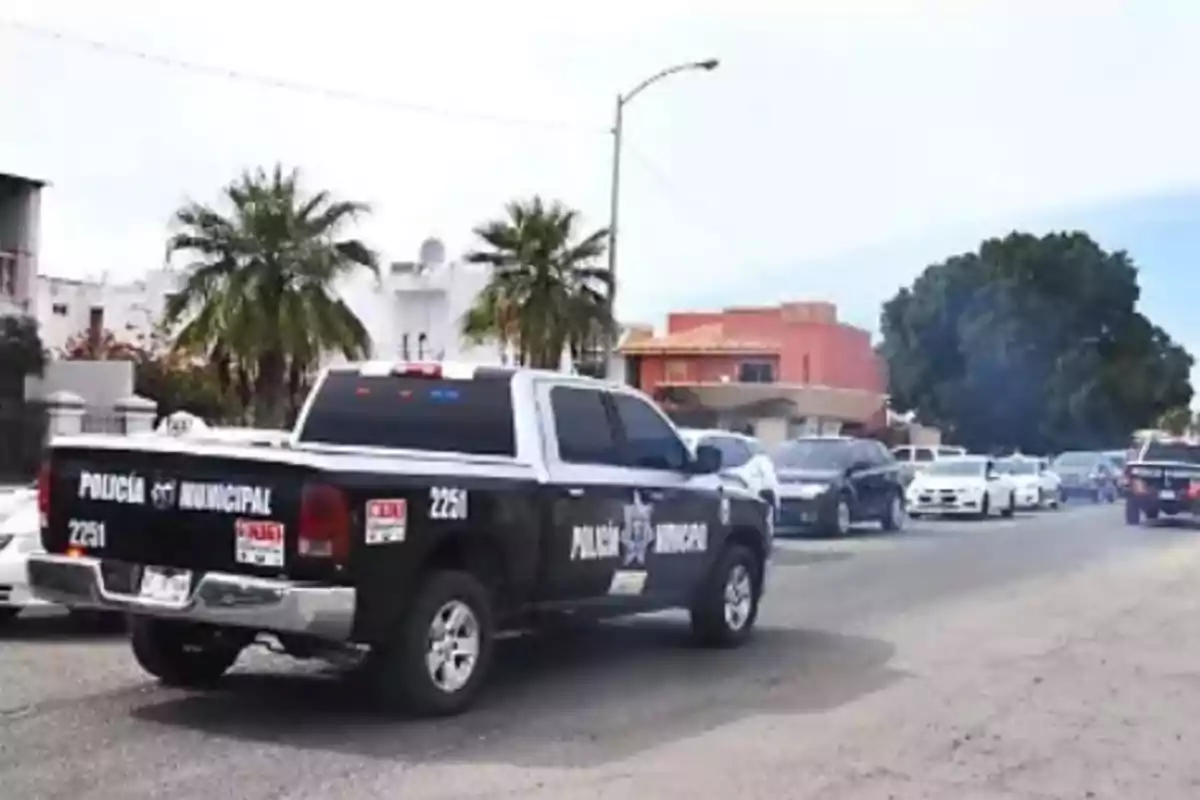 Una camioneta de la policía municipal circula por una calle rodeada de otros vehículos y palmeras.