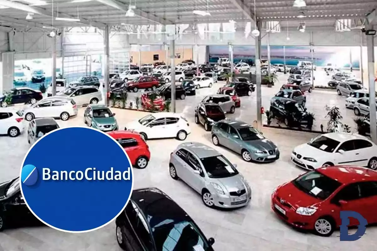 Exhibición de autos en un concesionario con el logotipo de Banco Ciudad en primer plano.