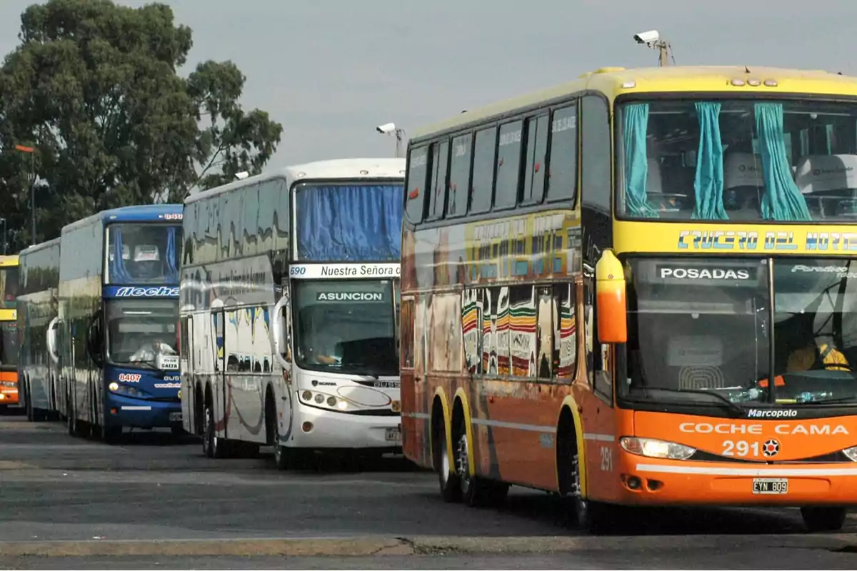 Autobuses estacionados en fila en una terminal con árboles al fondo.