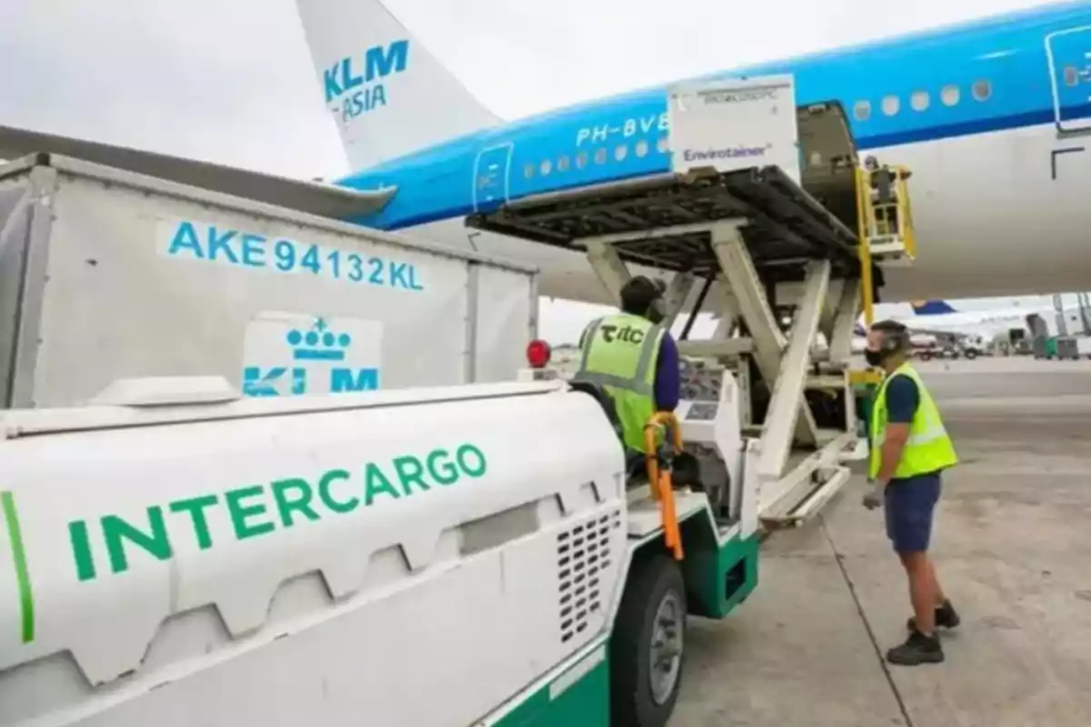 Trabajadores cargando un avión de KLM en un aeropuerto con equipo de carga de Intercargo.