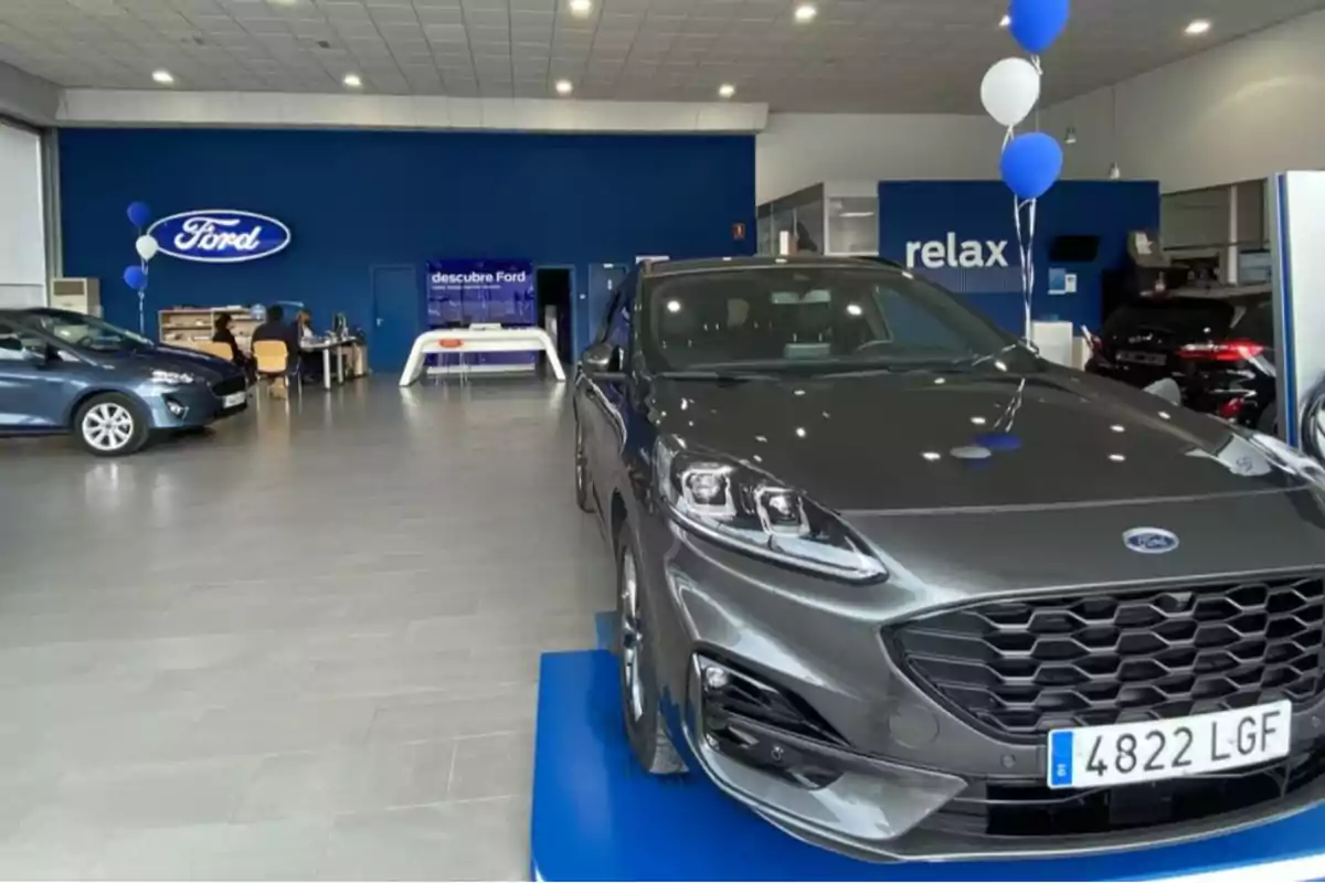 Un concesionario de automóviles Ford con varios coches expuestos y decoración con globos azules y blancos.