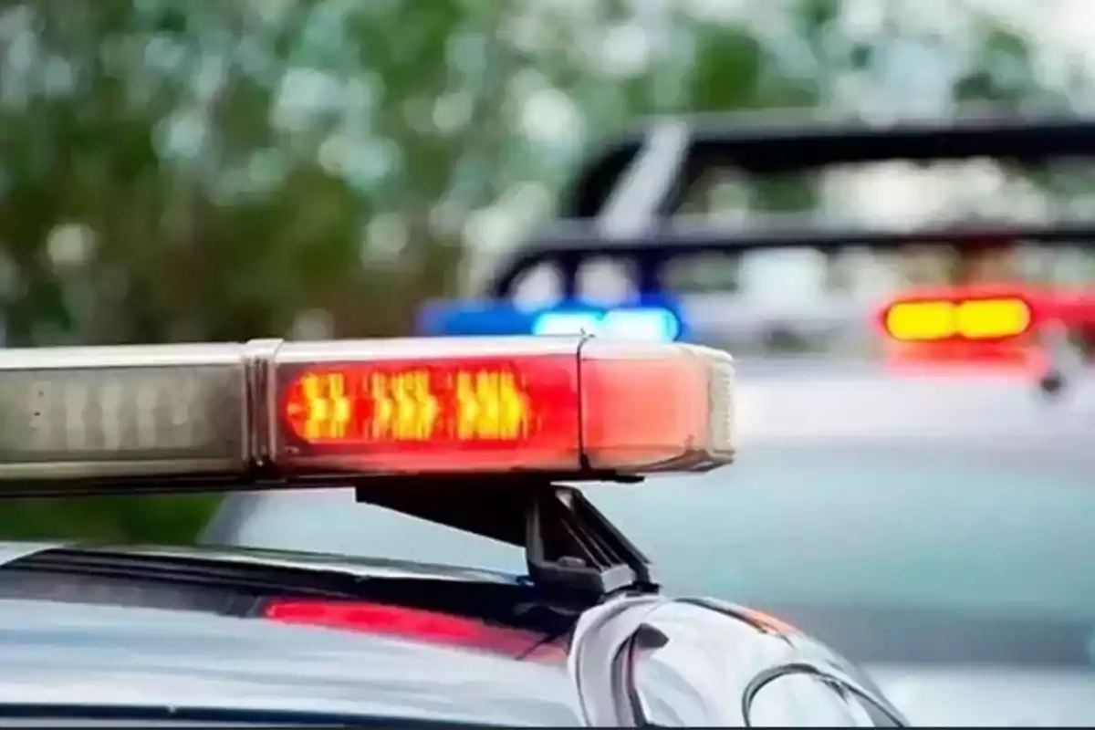 Emergency lights on in a police vehicle.