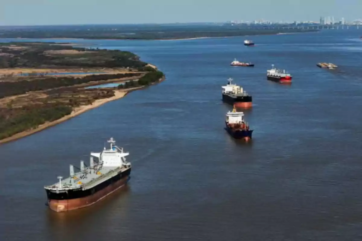 Una fila de barcos navegando por un río ancho con vegetación en las orillas y una ciudad visible en el horizonte.