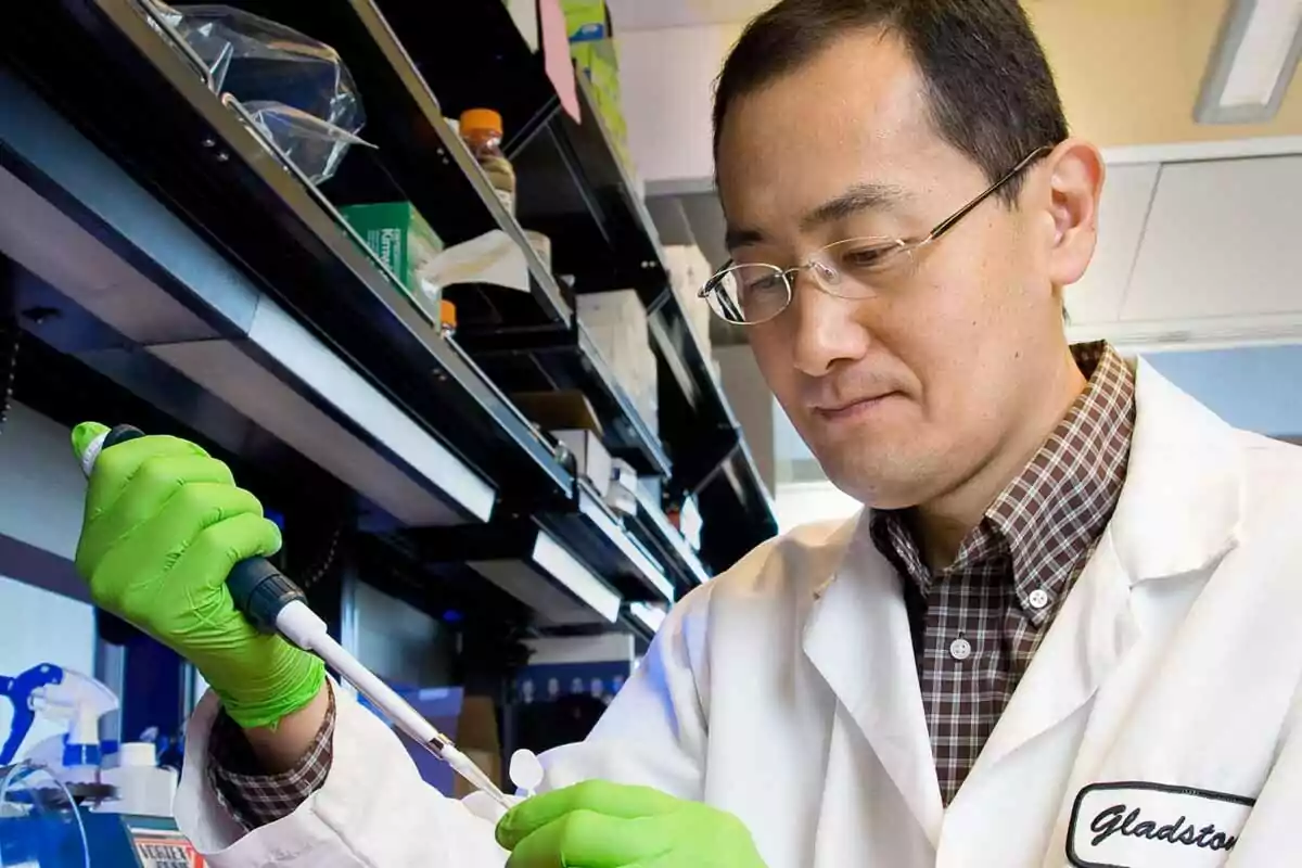 Shinya Yamanaka en un laboratorio usando una pipeta con guantes verdes.