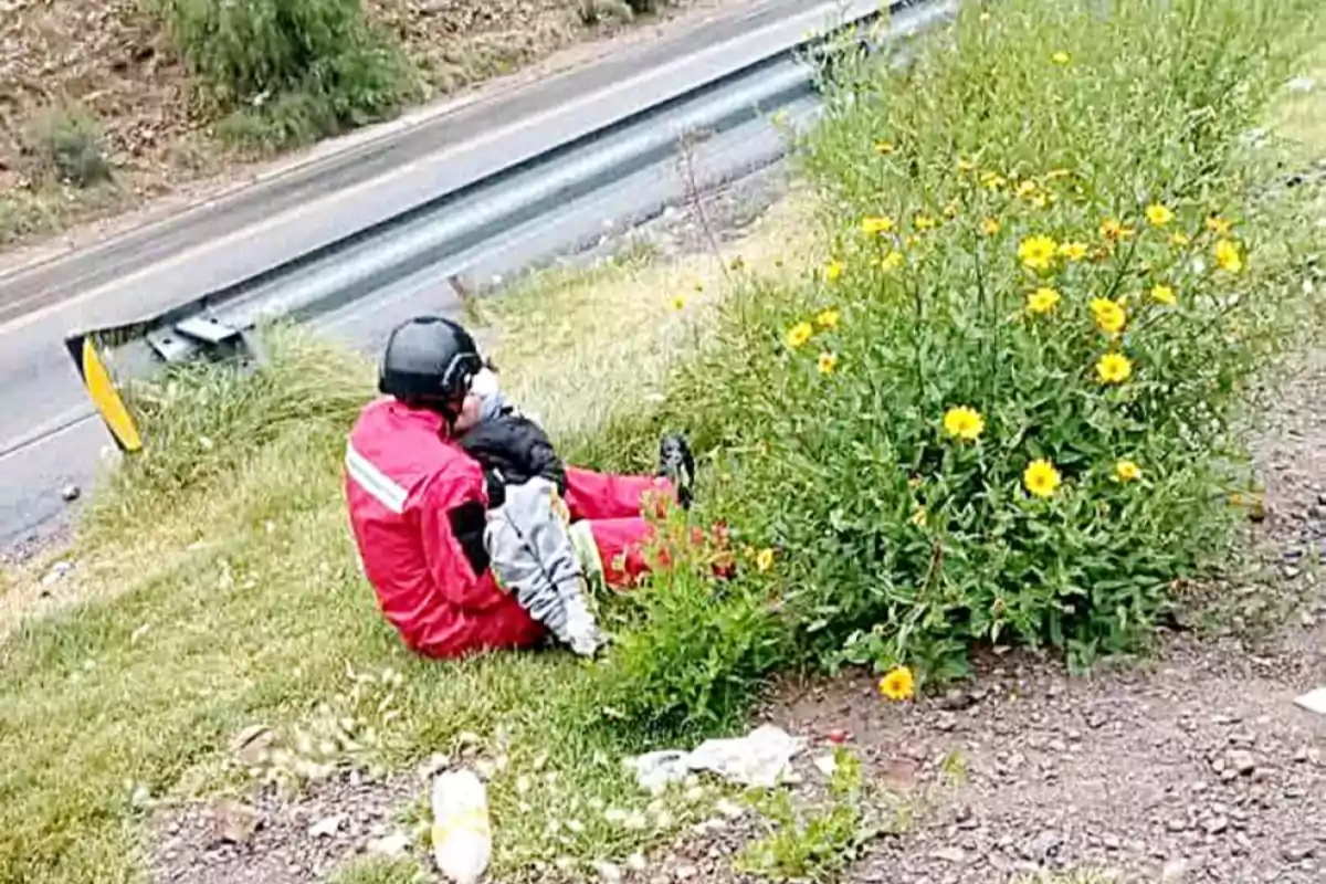 A motorcyclist in a red suit and black helmet is sitting on the grass next to a bush with yellow flowers by the side of a road.