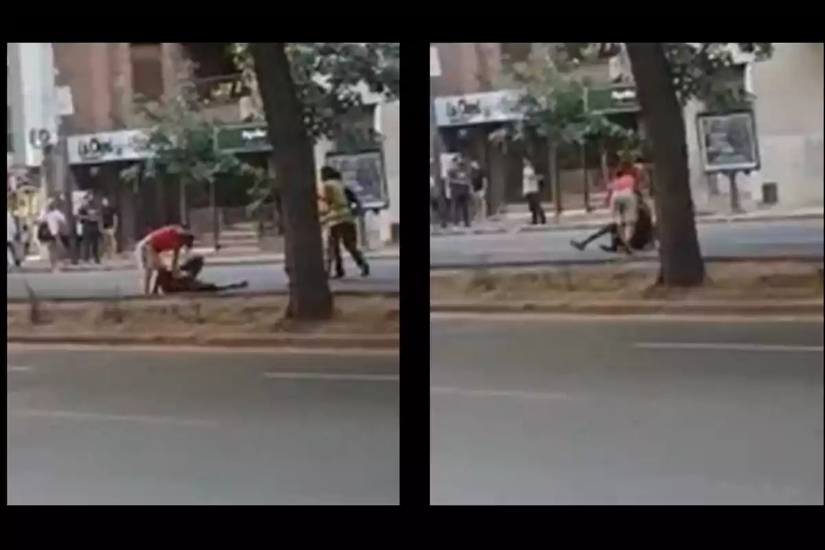 Dos imágenes muestran a personas interactuando en una acera urbana con árboles y edificios al fondo.