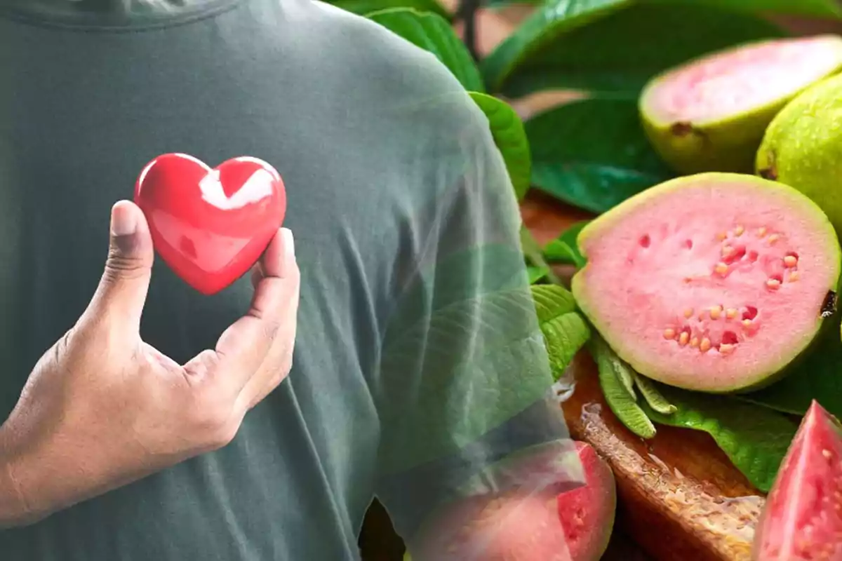 Un hombre sosteniendo un corazón rojo junto a guayabas cortadas sobre una mesa, que traen beneficios para la salud del corazón.