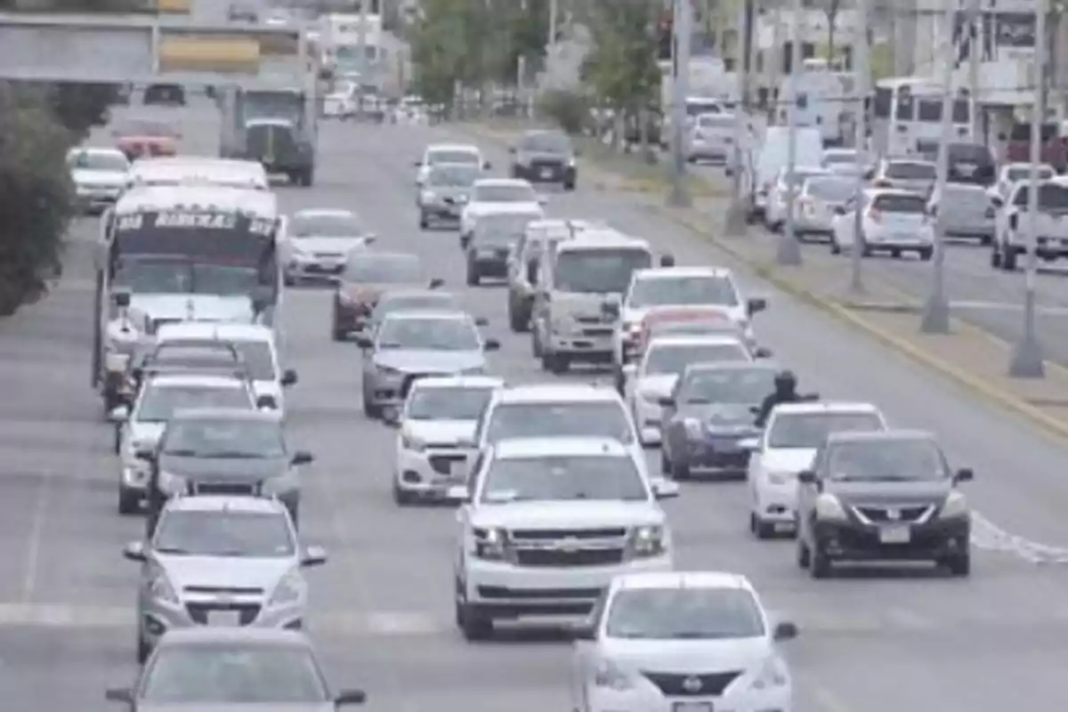 Heavy traffic on an avenue with multiple vehicles in both directions.