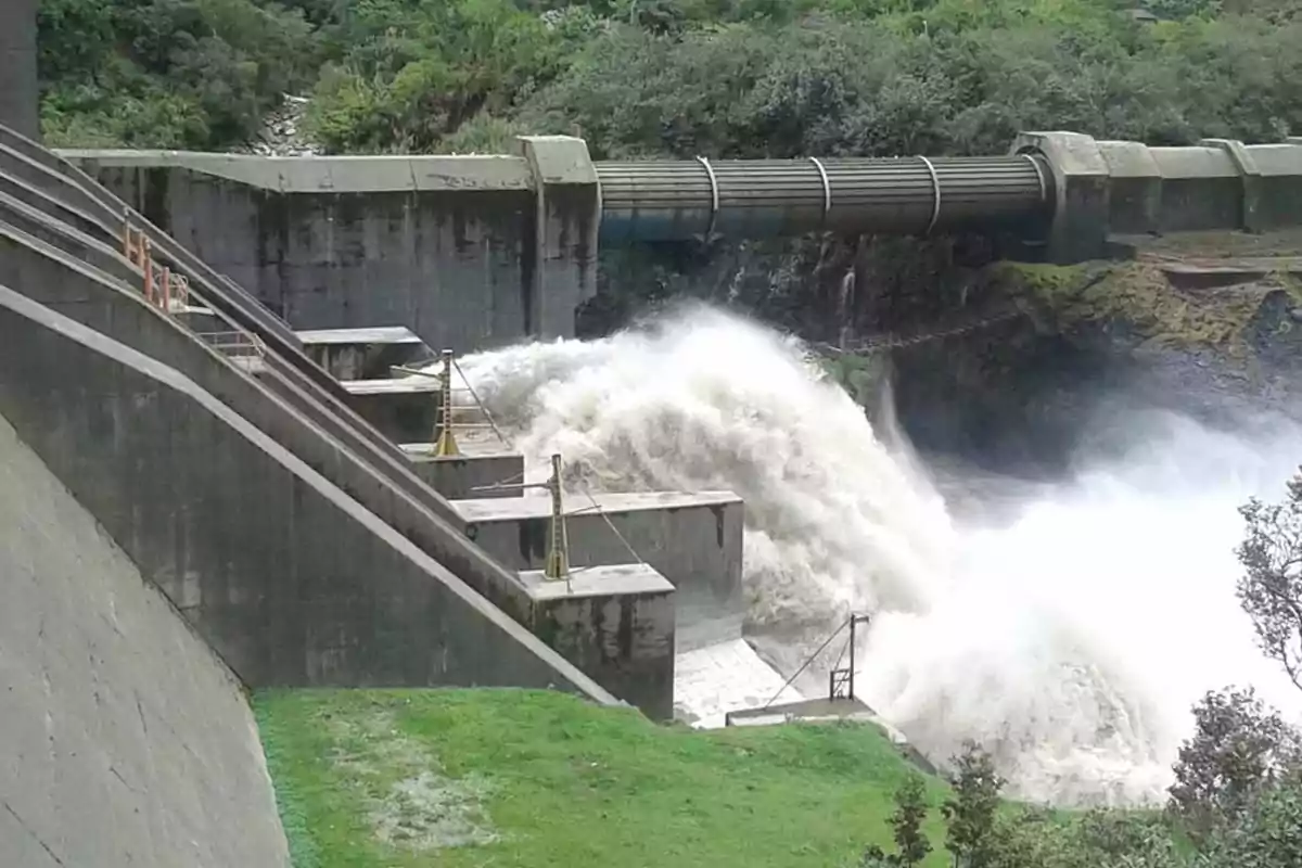 Una represa liberando una gran cantidad de agua rodeada de vegetación.