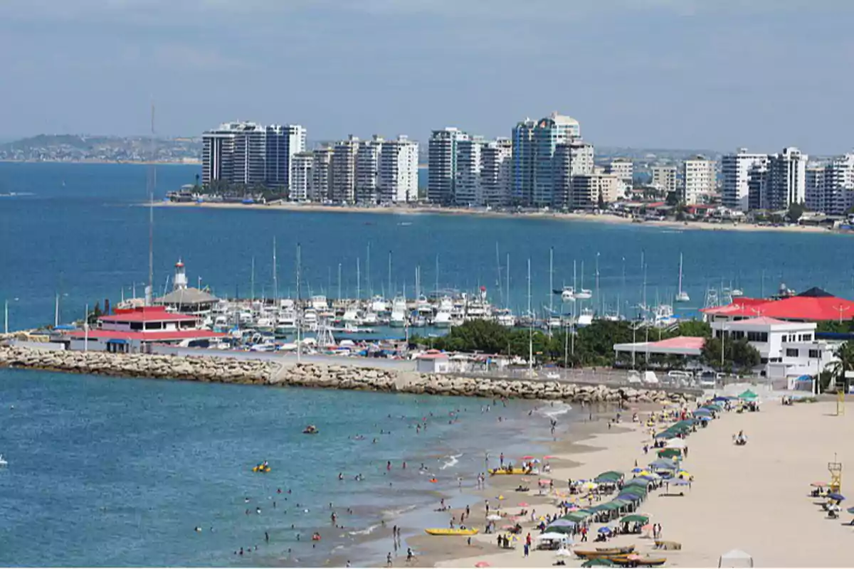 Vista de una playa concurrida con sombrillas y personas disfrutando del mar, un puerto con yates y edificios altos al fondo.