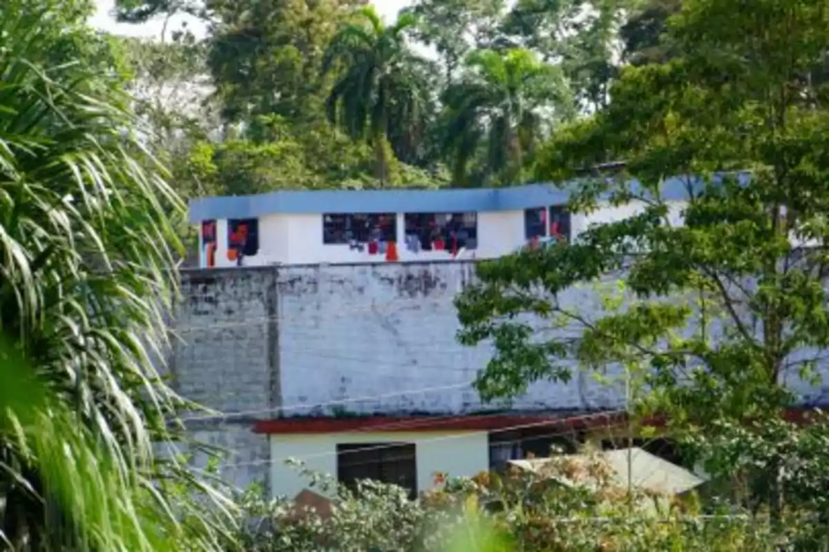 Edificio blanco con techo azul rodeado de vegetación y árboles.